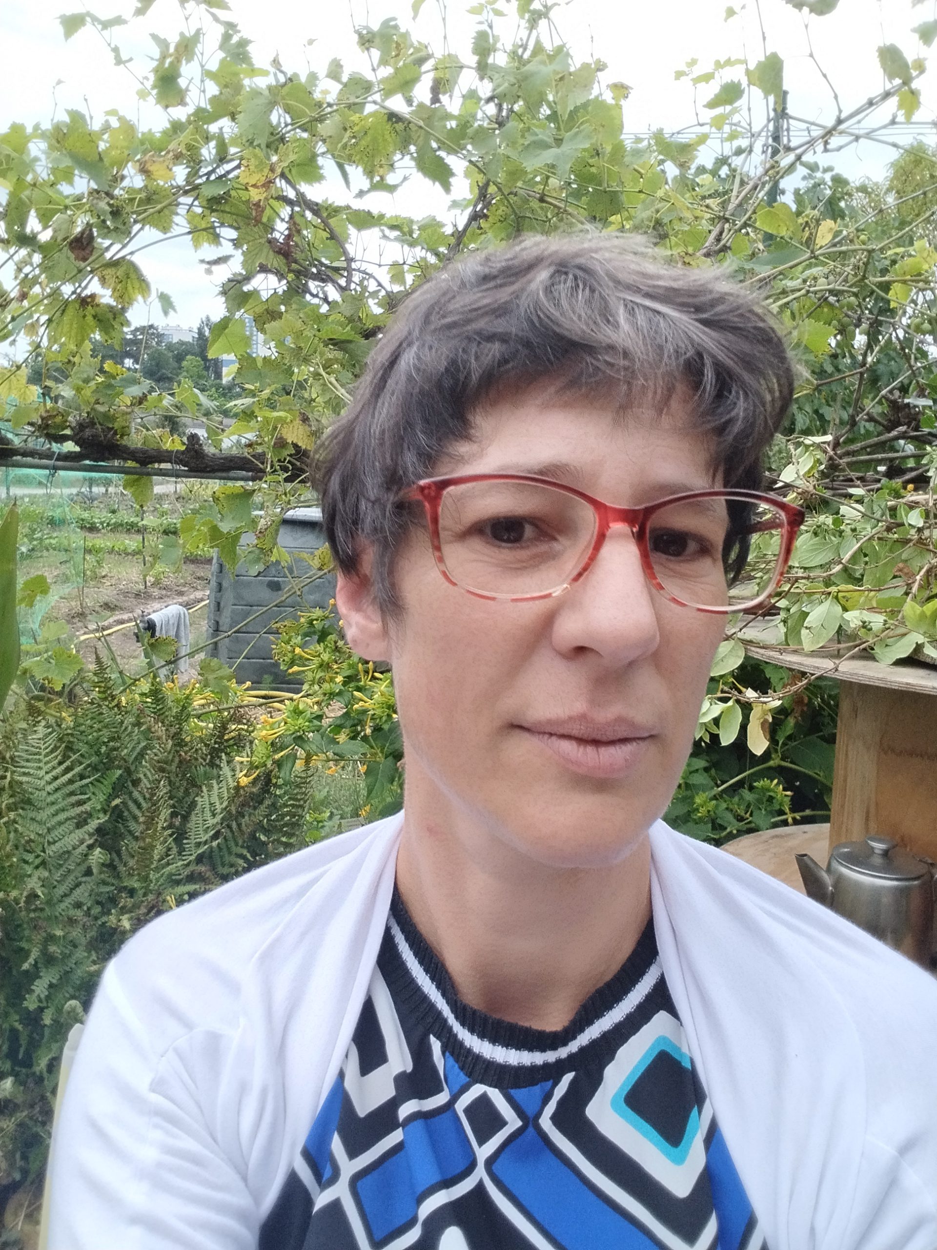 37 / Promenades, courses, divertissement, cuisine