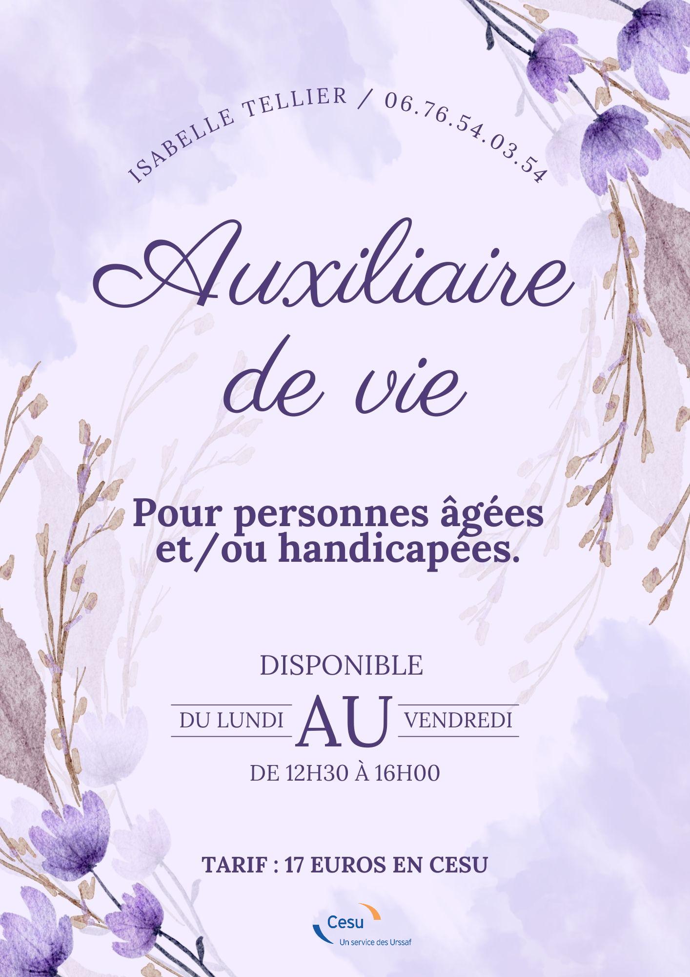 73290 / Auxiliaire de vie privée pour personnes âgées et/ou handicapées