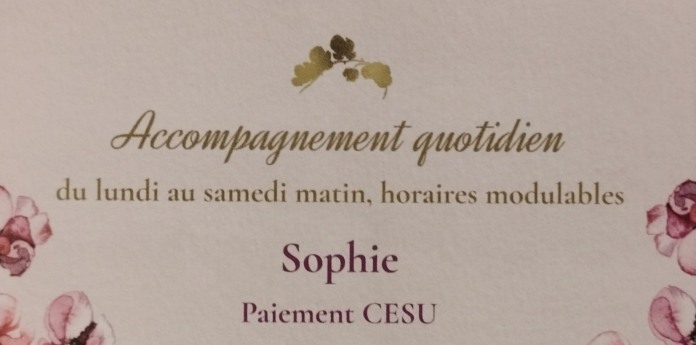 64600 / Aide multi-taches