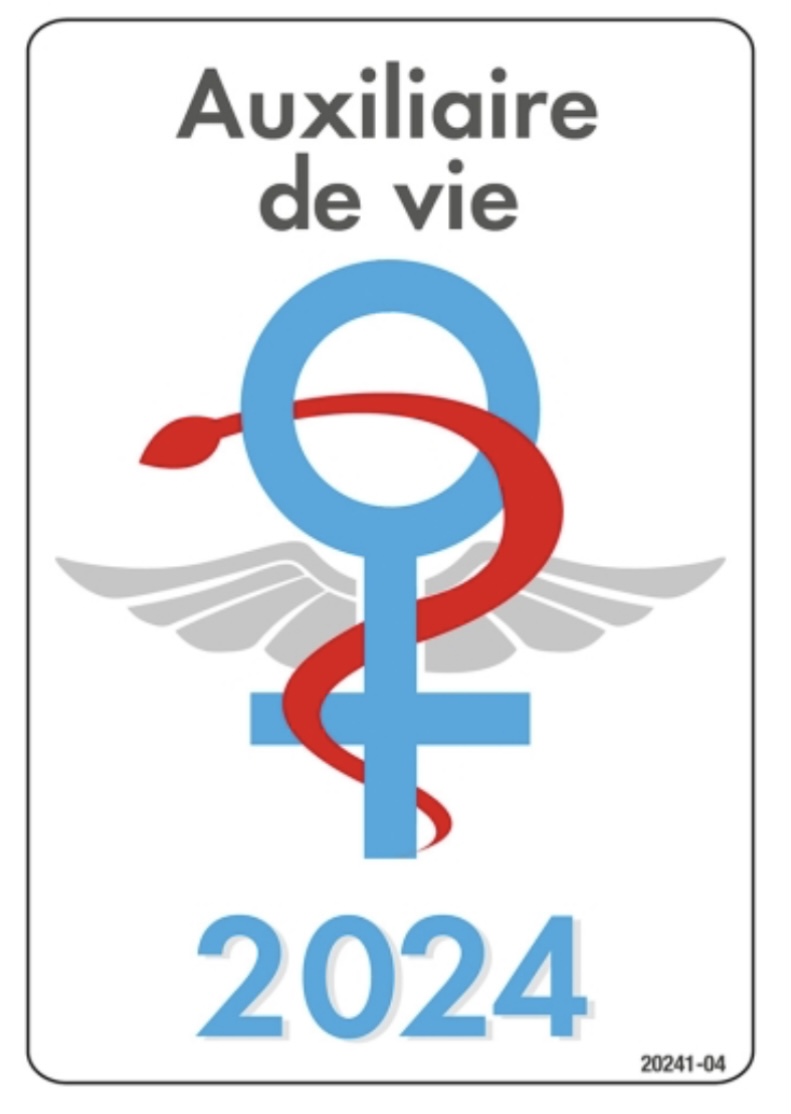 38290 / Auxiliaire de vie diplômé