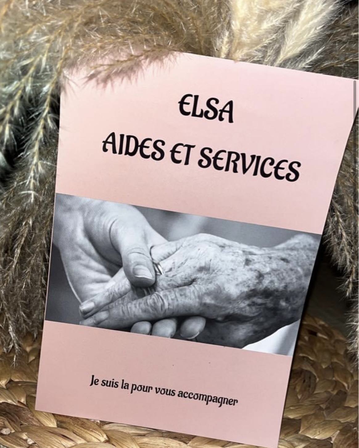 Auxiliaire de vie diplômée Aide soignante et Aide ménagère