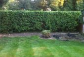 Jardinier particulier en CESU Région Nord d’Angers