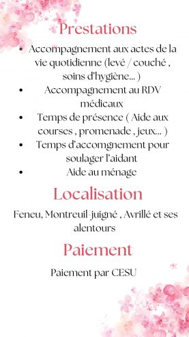 ANGERS.MONTREUIL JUIGNE.AVRILLE.FENEU / Aide aux soin d’hygiène