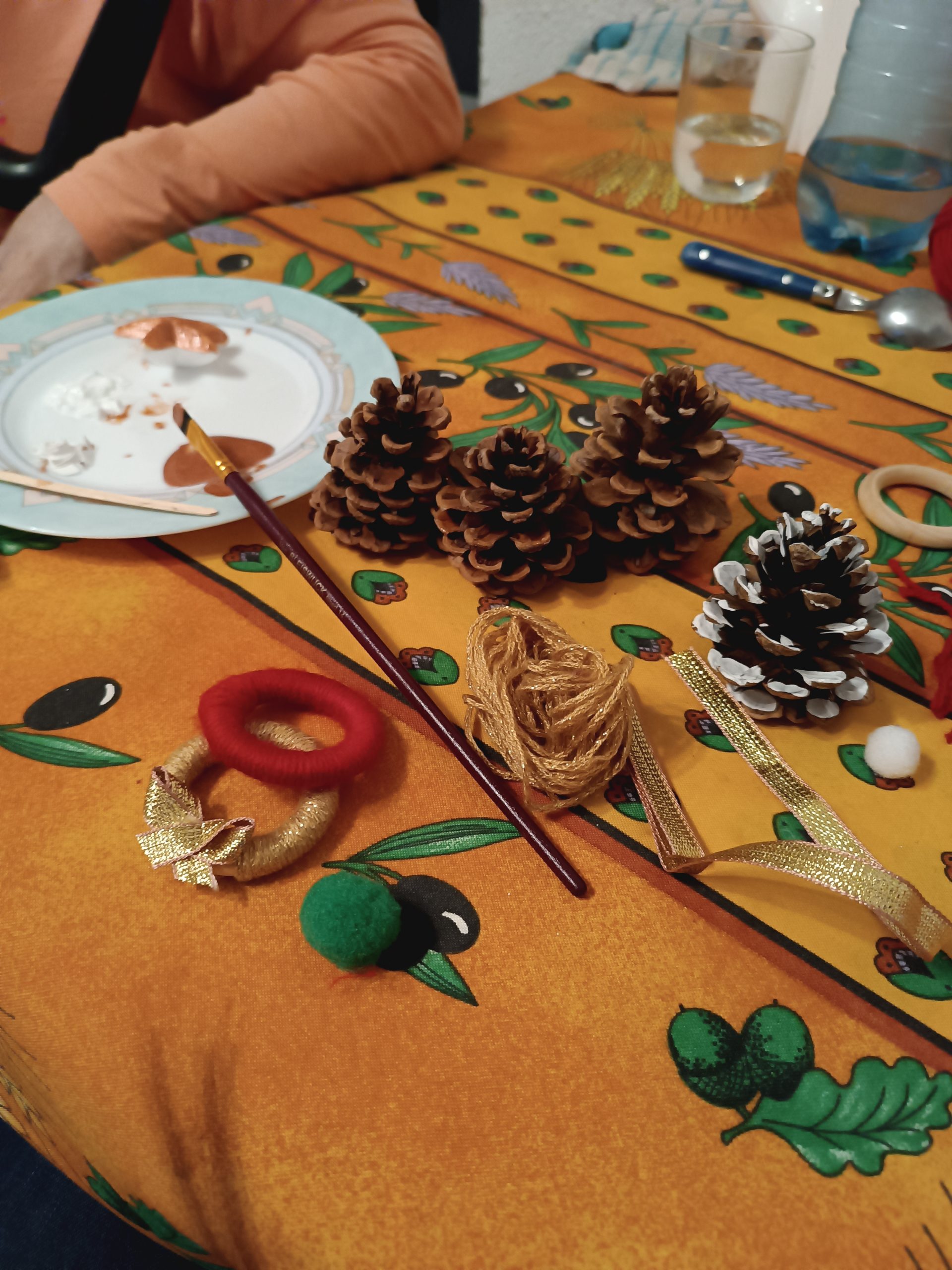 PRESSINS / Accompagnante éducative et sociale