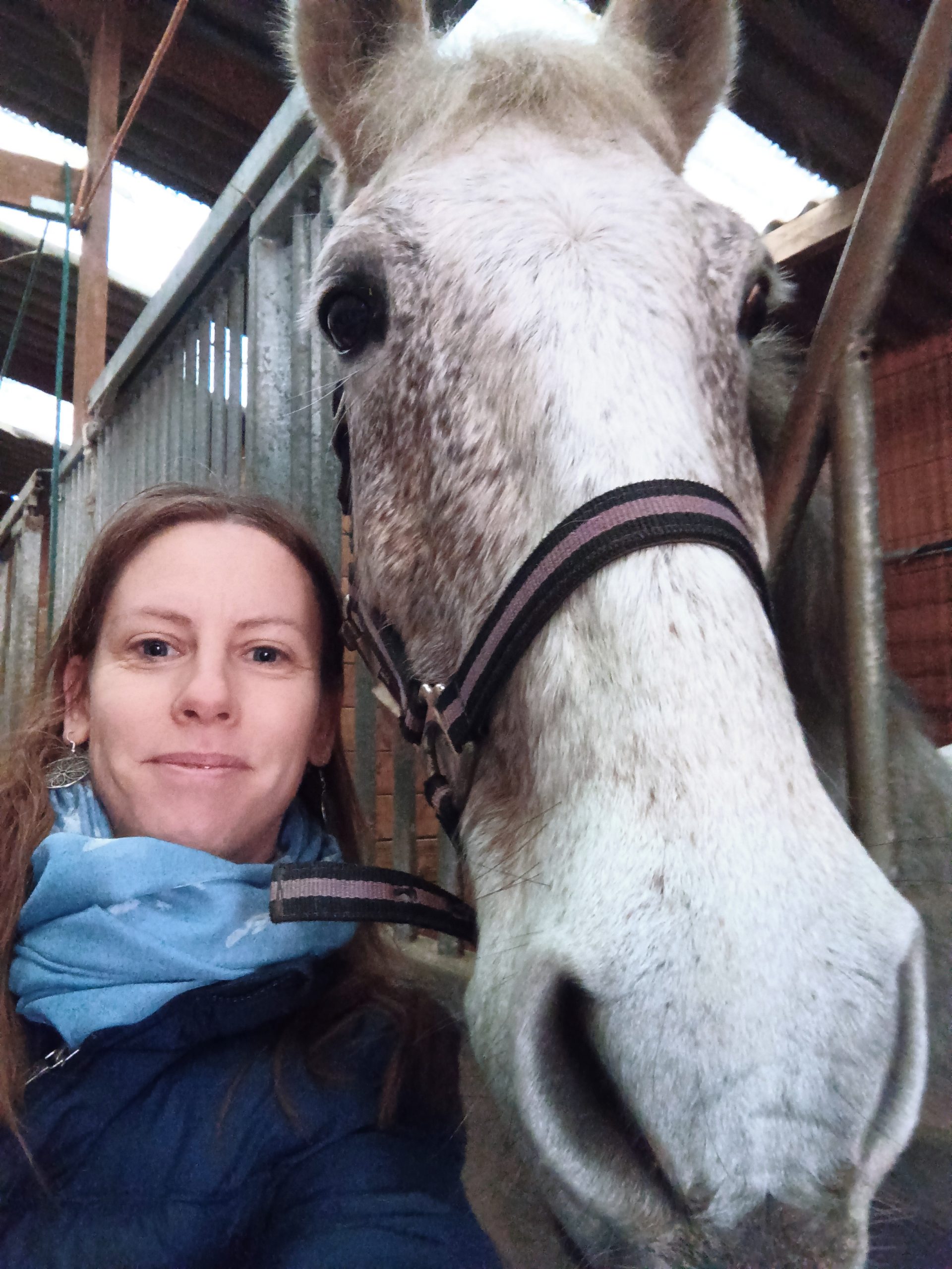 85220 / Auxiliaire de vie diplômée Aide soignante diplômée