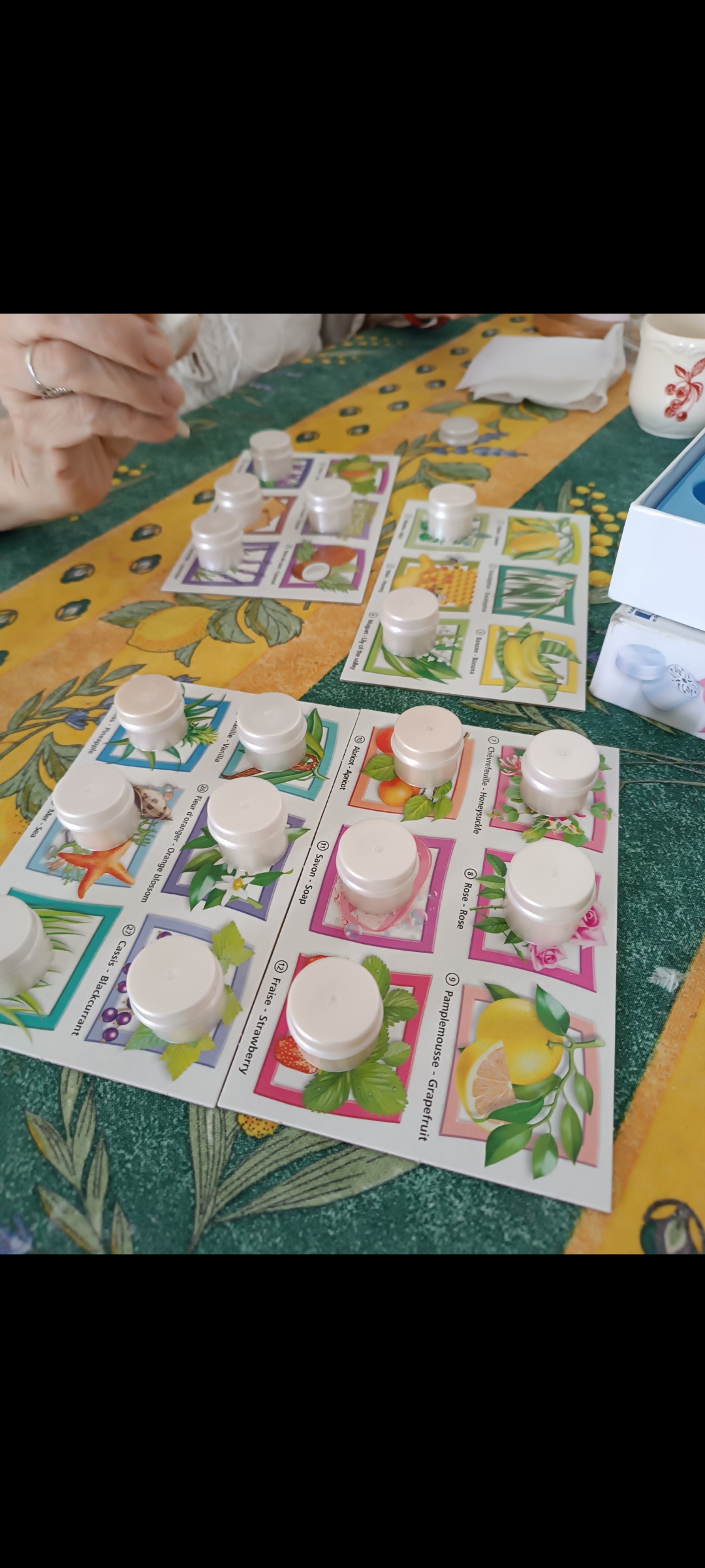 PRESSINS / Accompagnante éducative et sociale