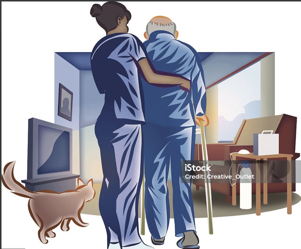 BEAUFORT EN VALLEE / Auxiliaire de vie