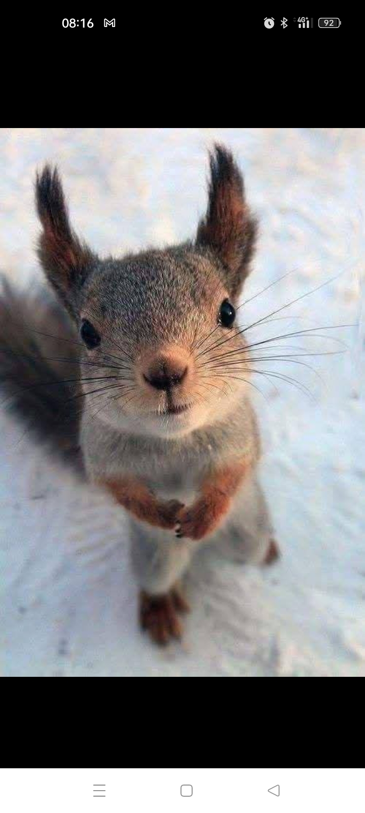 85600 / Anne V. Aide médico psychologique