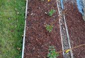 44660 / Entretien espaces verts