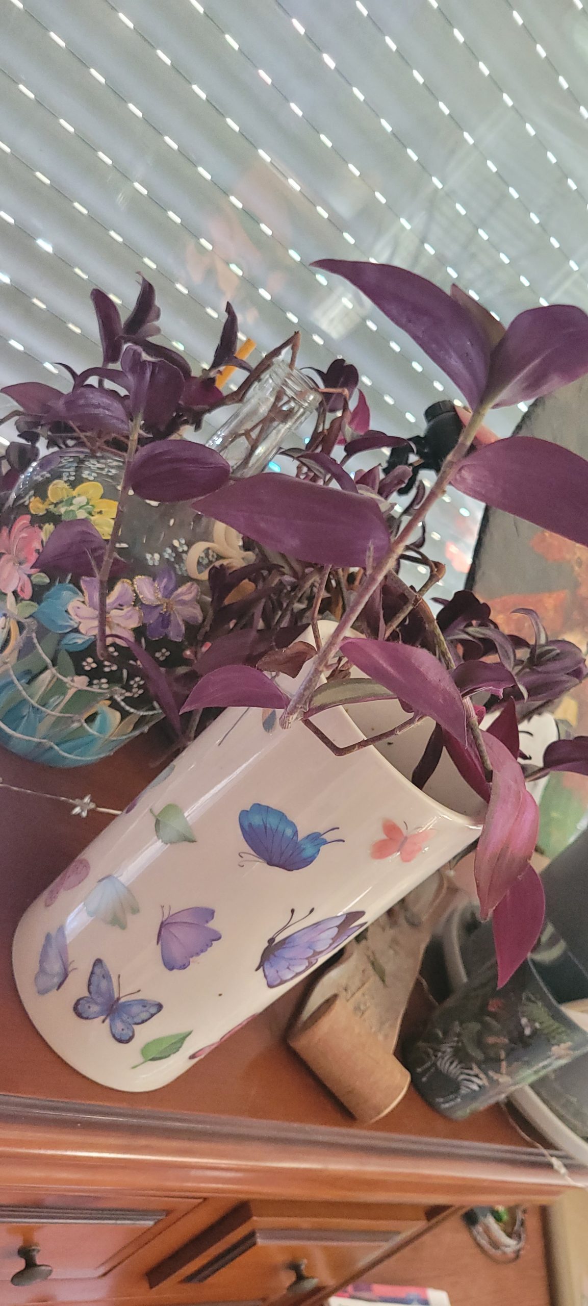 46500 / Auxiliaire de vie à domicile