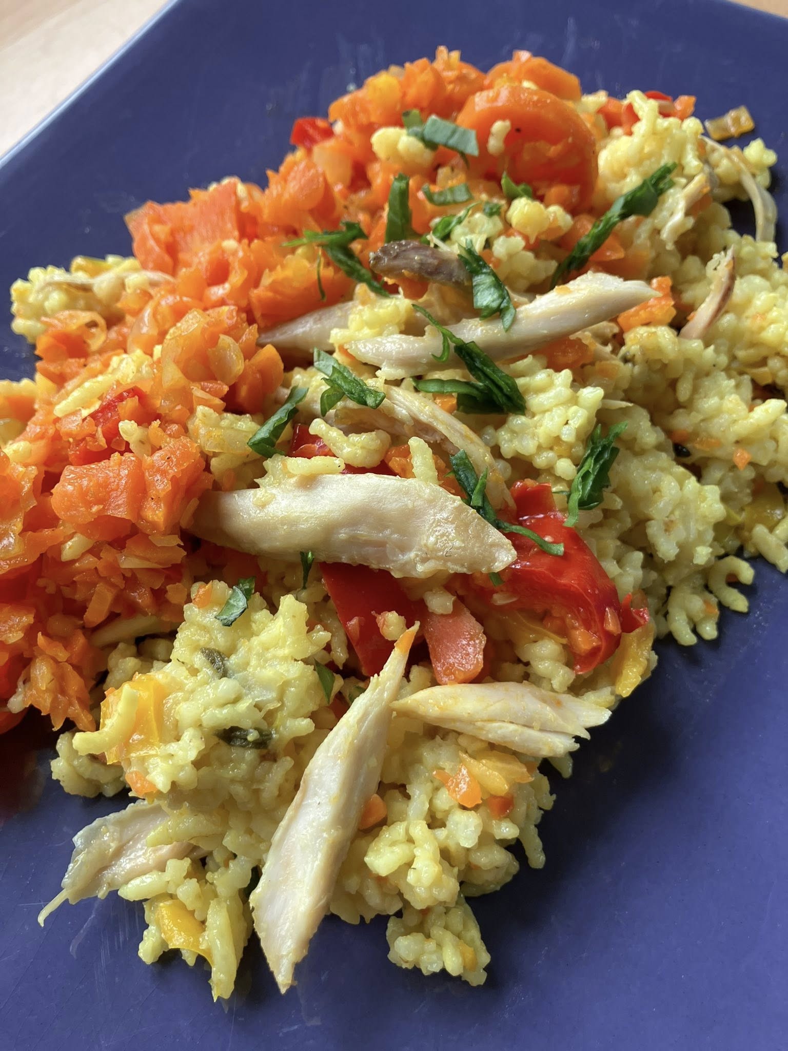 CHALON SUR SAONE / Préparation de repas chez vous