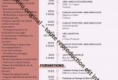 31830 / Accompagnante de vie spécialisée en soins et bien-être – 17 €/h net (tout inclus)