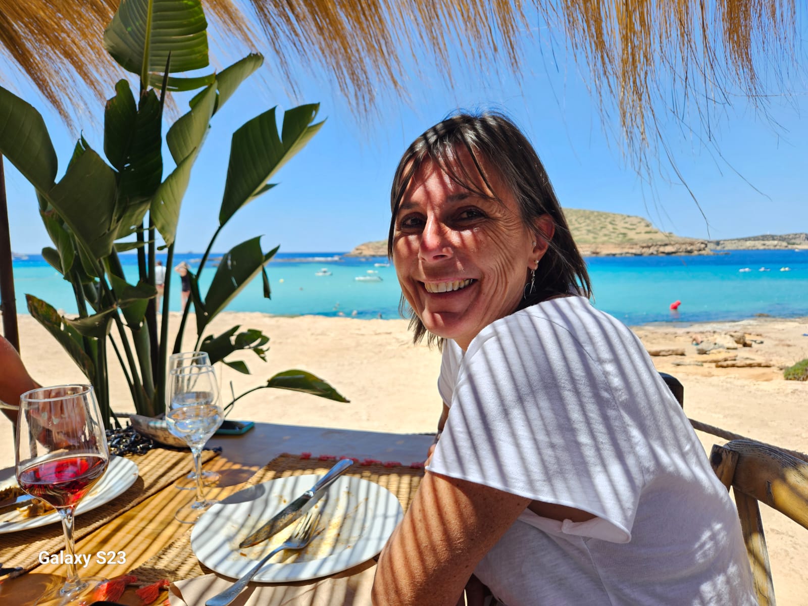 BRESSOLS / Auxiliaire de vie à domicile