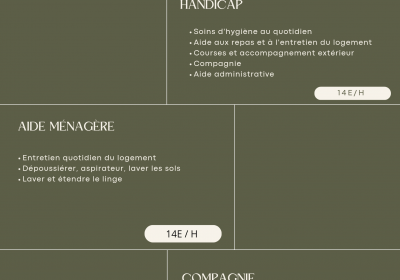 Vert-Beige-Tarifs-et-Prestations-Decoratrice-dInterieur-Affiche-_20250719_143236_0000