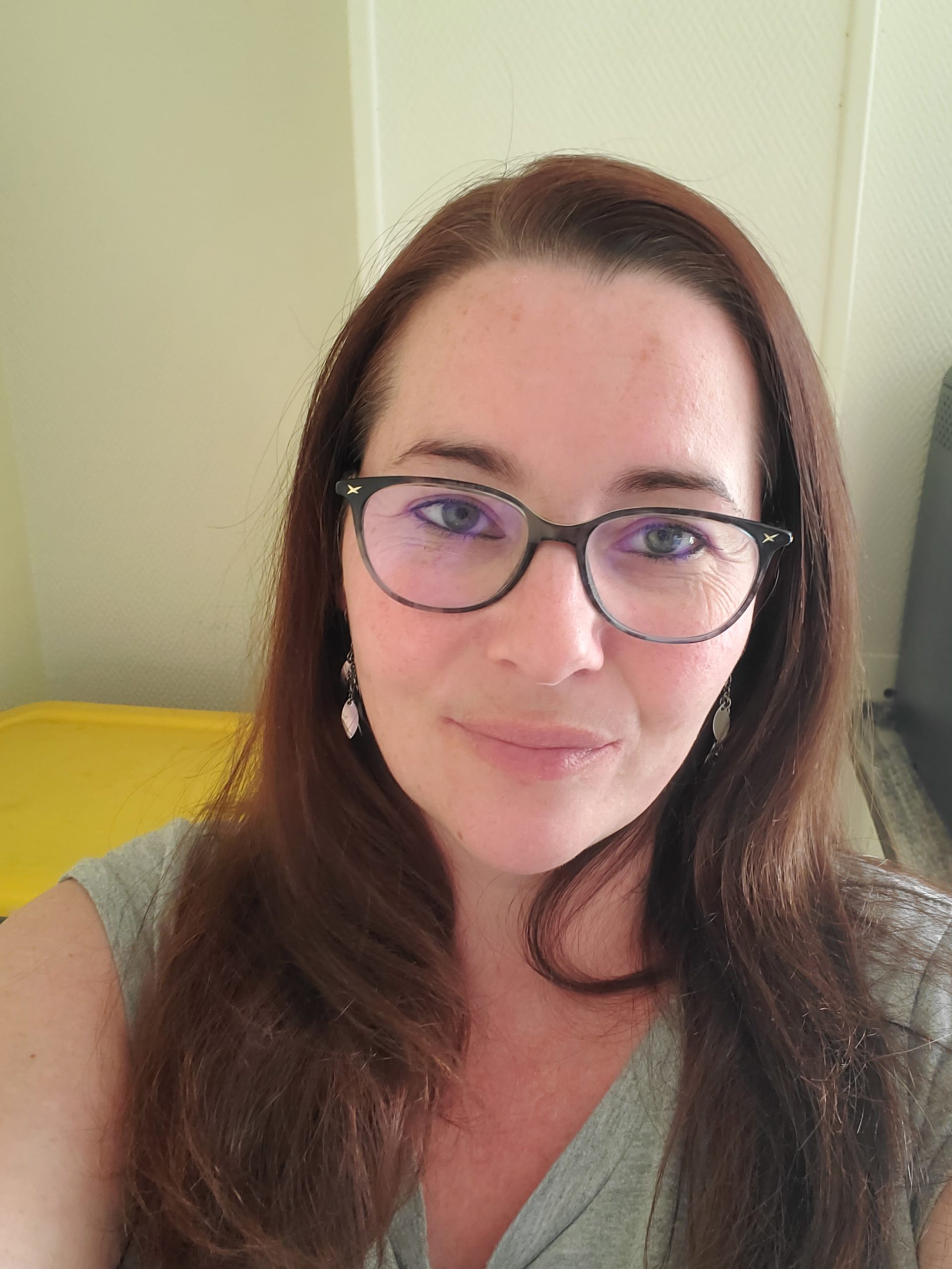 17250 /Auxiliaire de vie diplômée Aide soignante