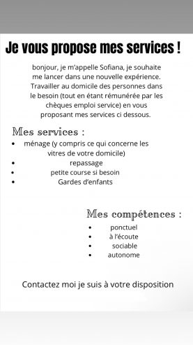 SAUMUR /Agent polyvalent chez particulier
