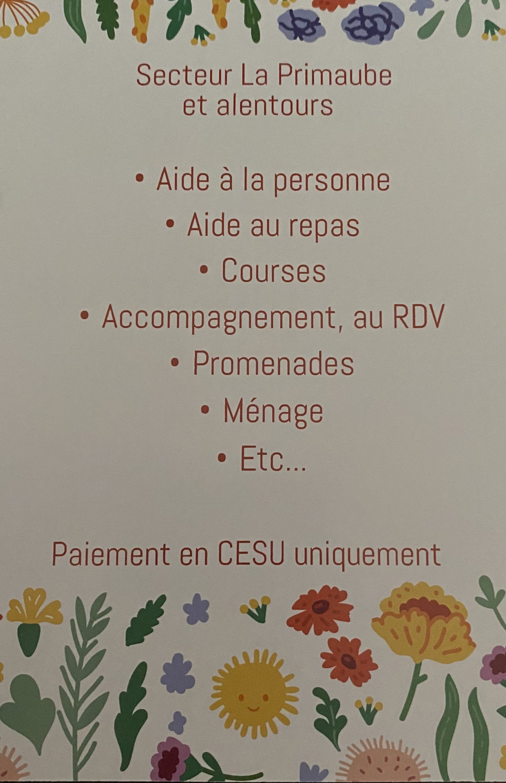 12120 /Auxiliaire de vie