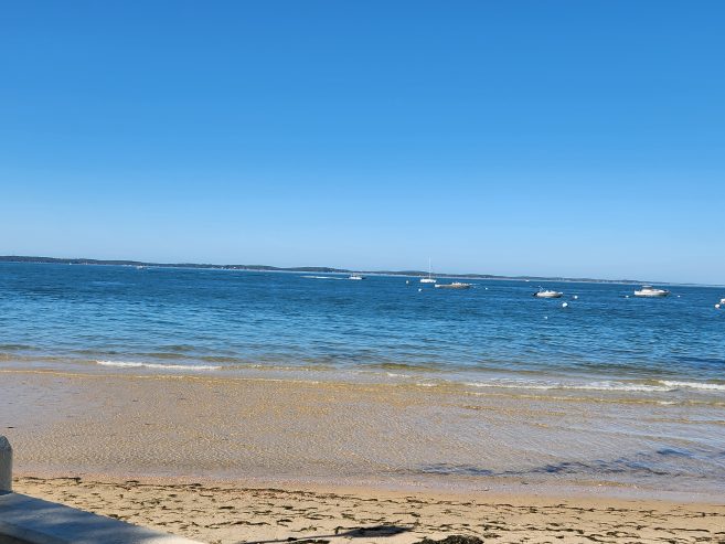 ARCACHON /Aide soignante diplômée d’état