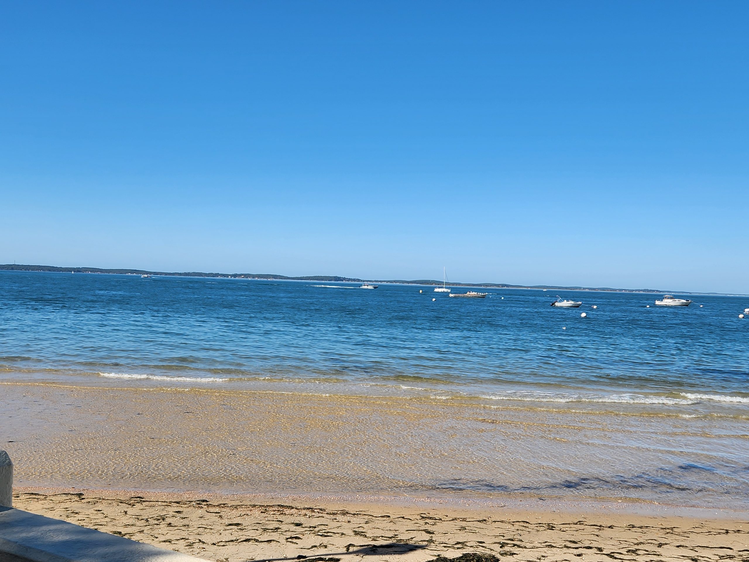ARCACHON /Auxiliaire de vie diplômée Aide soignante diplômée d’état