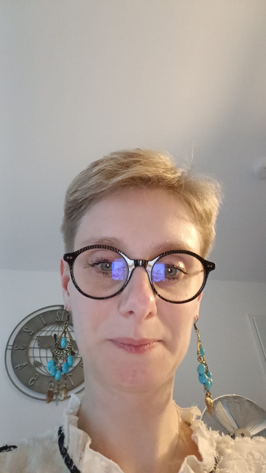 LES HERBIERS /Auxiliaire de vie diplômée Aide-soignante