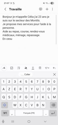 LES MONTILS /Aide à domicile en cesu
