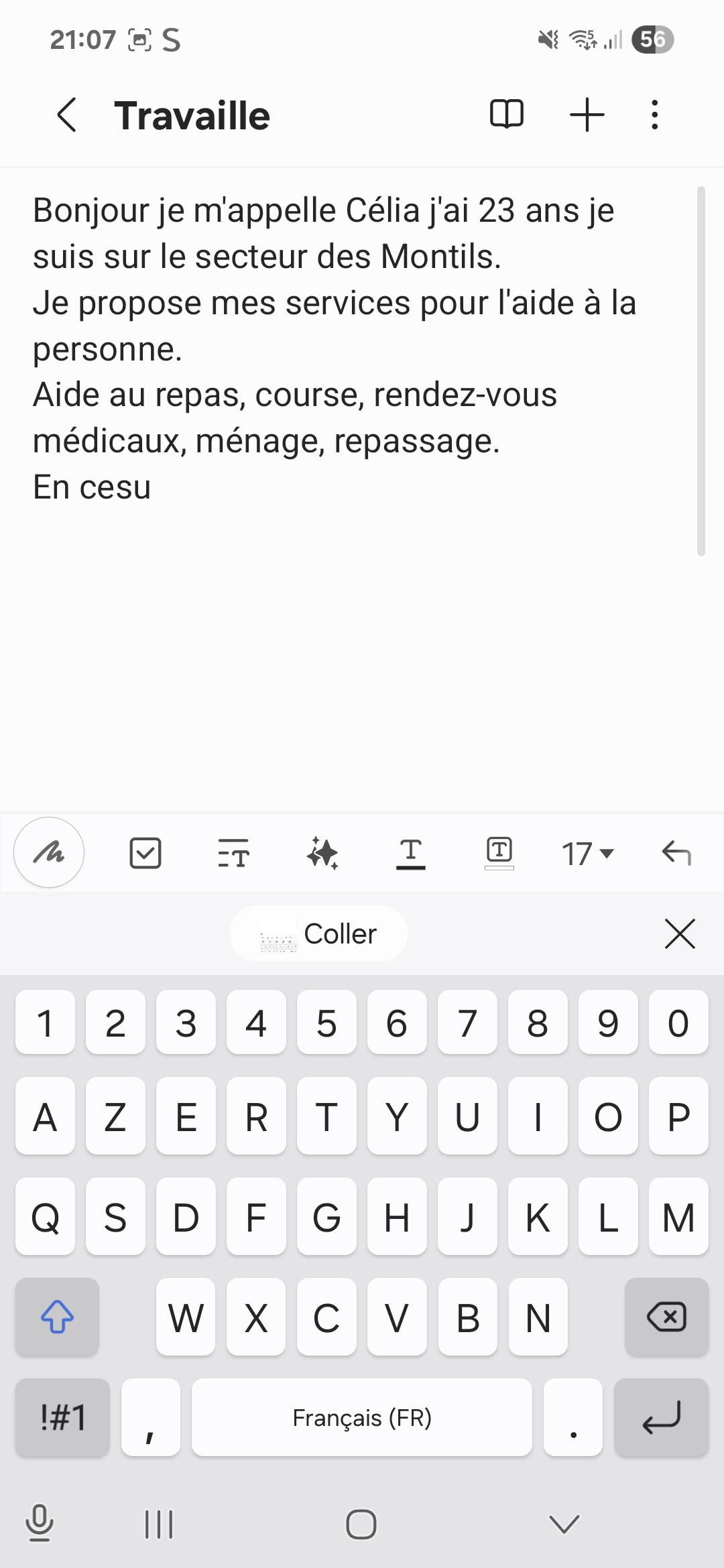 LES MONTILS /Aide à domicile en cesu