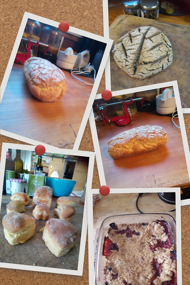 SAVENAY /Auxiliaire de vie