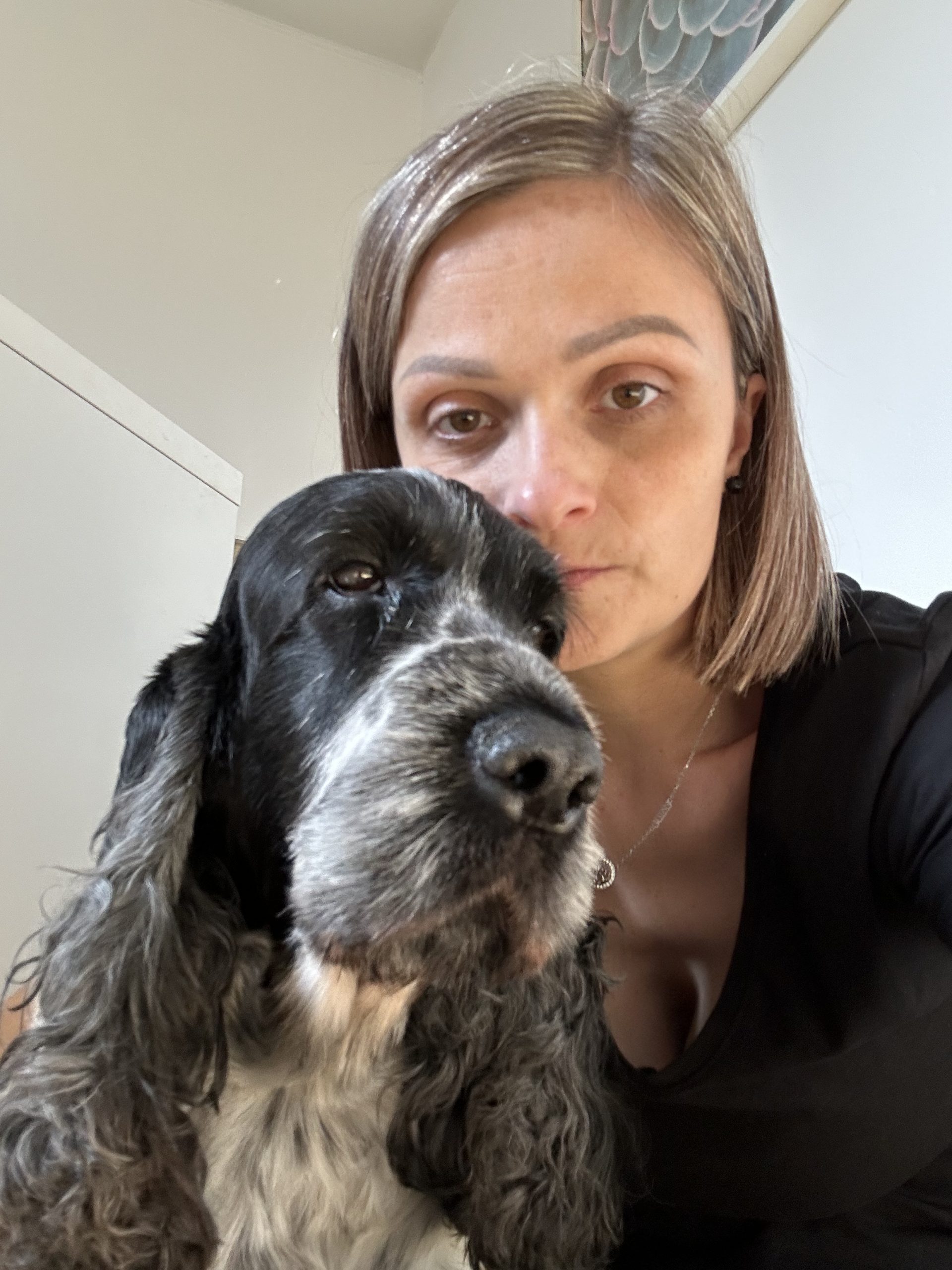 JOUE LES TOURS  /Aide à domicile polyvalente