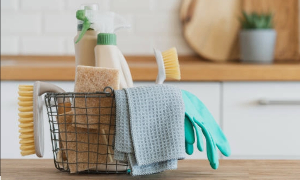 LES PONTS DE CE /Aide ménagère ou Auxiliaire de vie Sociale