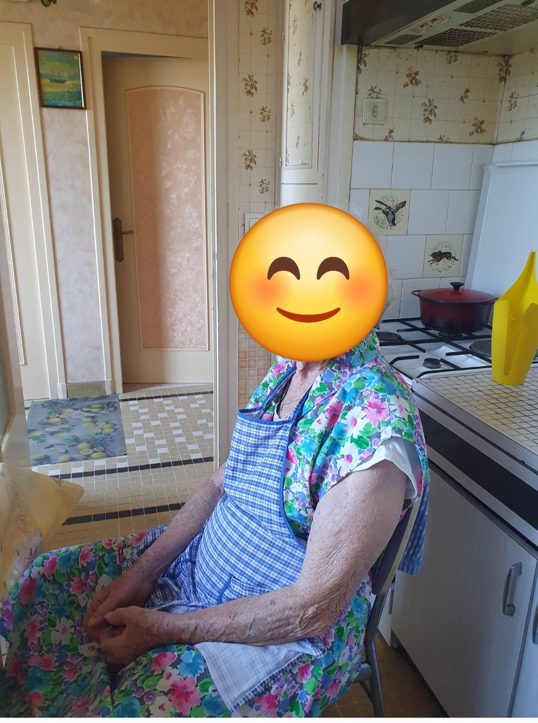 ST REMY EN ROLLAT /Auxiliaire de vie diplômée Aide-Soignante à domicile