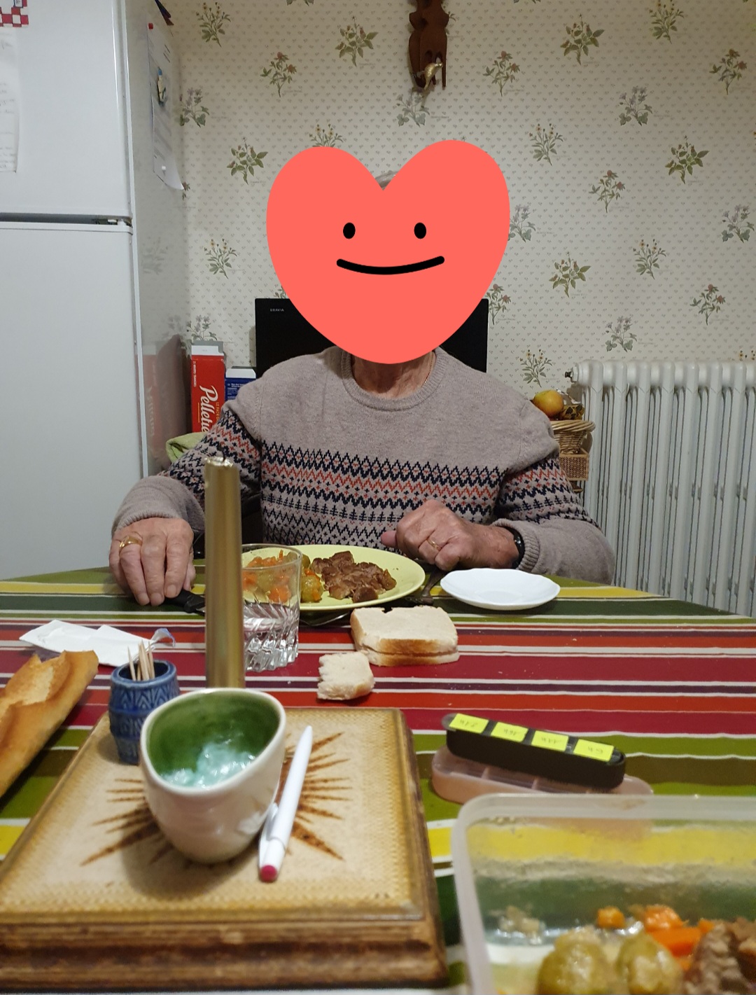 ST REMY EN ROLLAT /Auxiliaire de vie diplômée Aide-Soignante à domicile