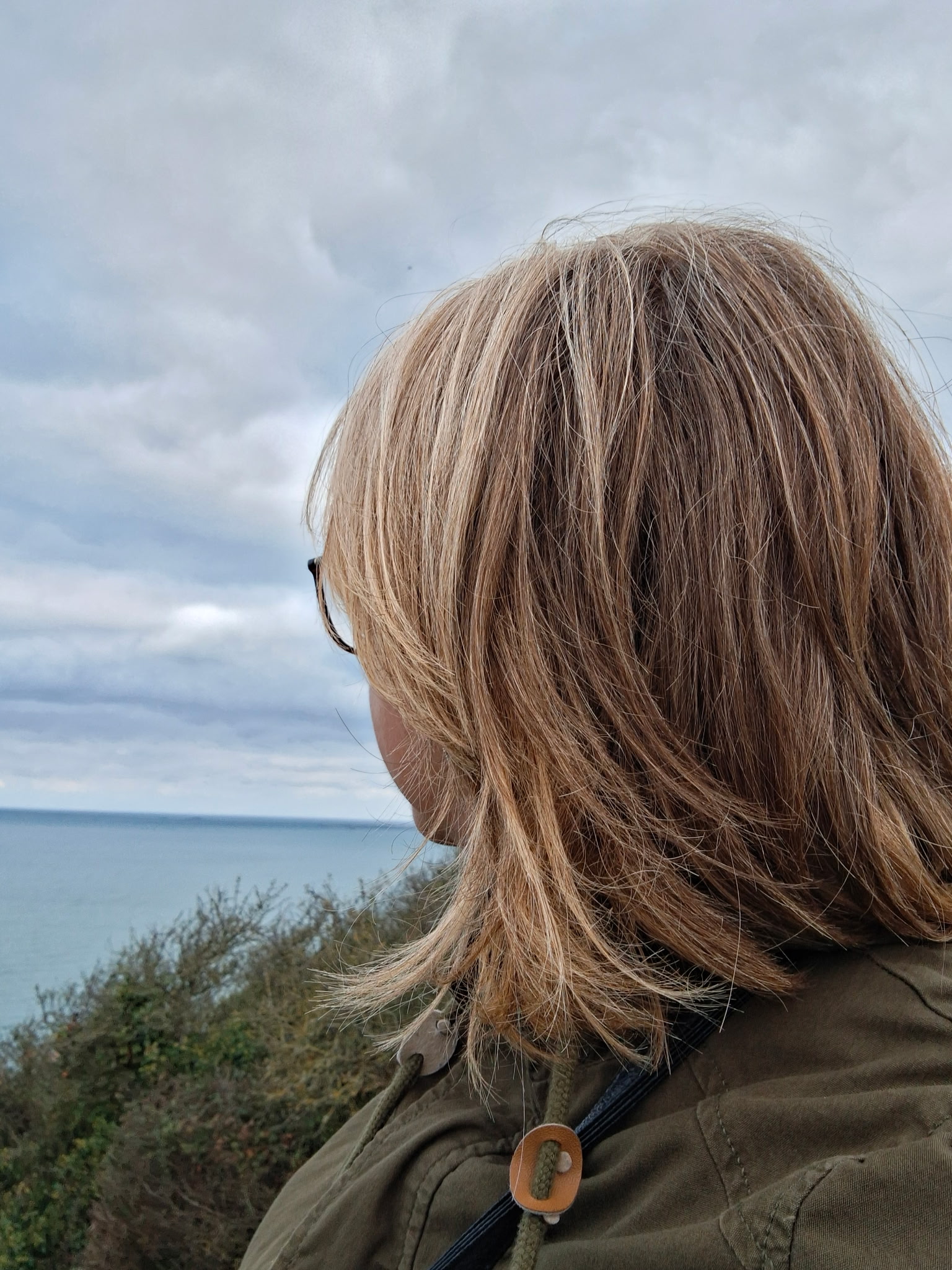 PORDIC /Auxilaire de vie diplômée aide soignante