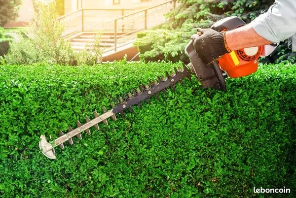 AYRON / entretien des espaces verts