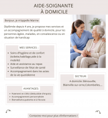 Flyer-A4-Petite-Annonce-Professeur-Cours-particuliers-Simple
